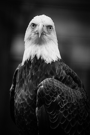 IMG_1169