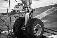 IMG_0602