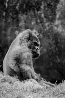 IMG_1057