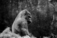 IMG_1055