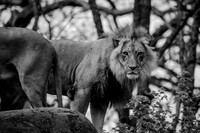 IMG_1019-2